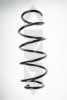 SPIDAN 49629 Coil Spring